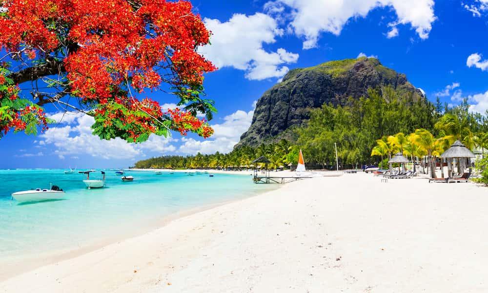 Tourism back track of Mauritius real estate - 2Futures